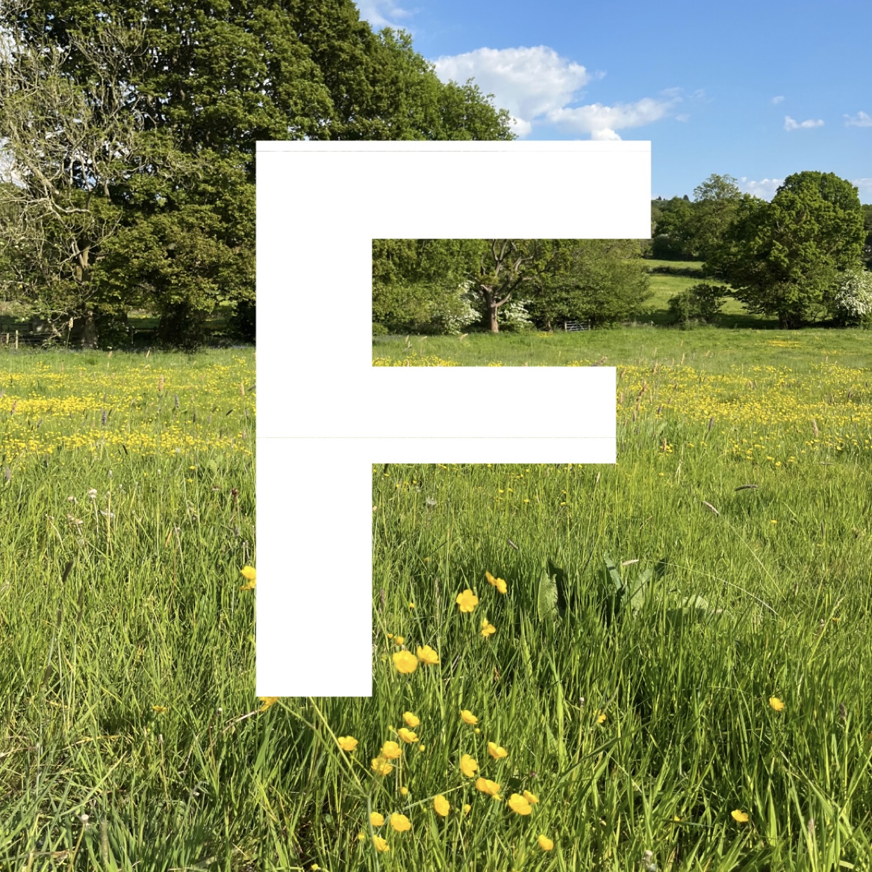 Friends logo